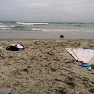 its_brookie_b's profile picture. 