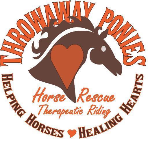 Unwanted horses & people are often thrown away.  Neglected, abused, battered, abandoned, lost, confused & the forgotten. Equine rescue & therapeutic riding #