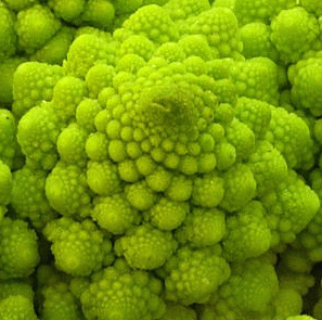 MyBroward's profile picture. About Broward County, Florida