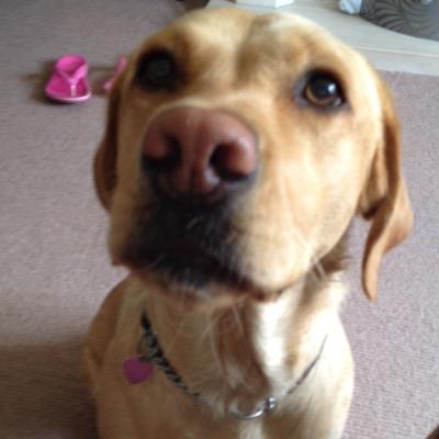 dandockerty's profile picture. 