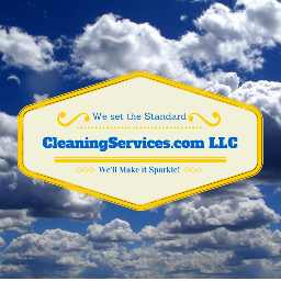 We don't just clean we make it sparkle.