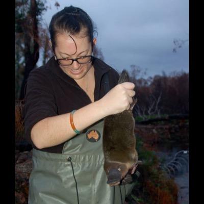 Researching 'the animal of all time' (Merv Griffiths, 1989) the platypus!