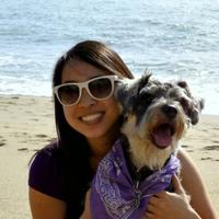 Lynna Feng (@lynnafeng) 's Twitter Profile