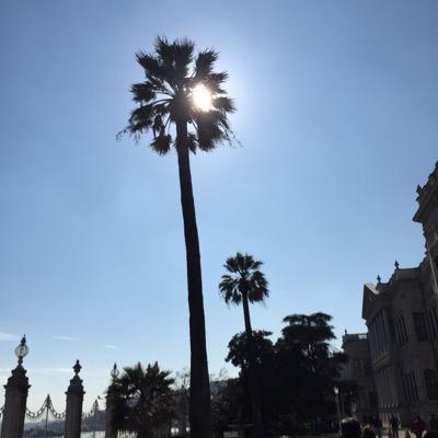 abbaibrahim69's profile picture. Fair, Firm and Forward Looking