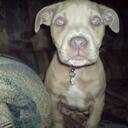 camille hamm - @camillehamm - Twitter