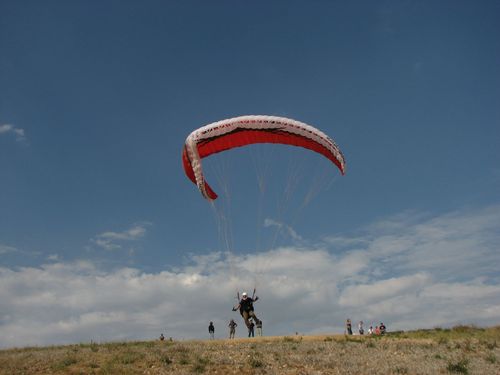 davidleemetzgar's profile picture. 