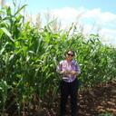 ale guillen - @aleguillen16 - Twitter