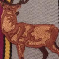 Maidenhead & Bray CC (@mandbcc) 's Twitter Profile