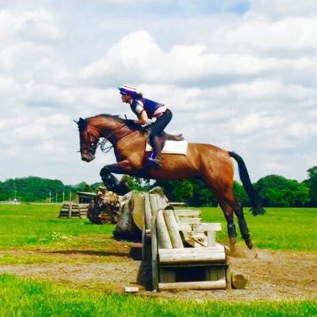 Located in an idyllic yard in Cheshire, we are experienced, fully qualified professionals! We sell #Showjumping and #Eventing Horses/Ponies. Msg for details.