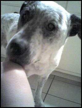 carlasparklstar's profile picture. 