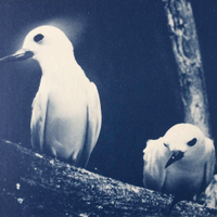 PAM (@pamokonkole) 's Twitter Profile