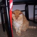 Margaret Azzopardi - @ellefranc - Twitter