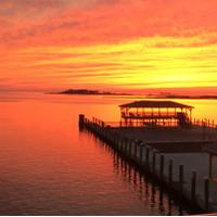 Cindy elder (@cindyelder7) 's Twitter Profile