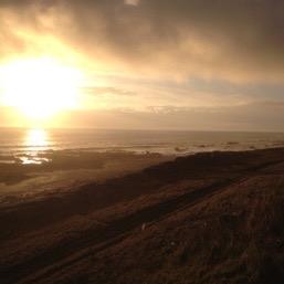 mohysohy's profile picture. 