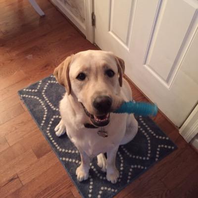 wj5314's profile picture. #314