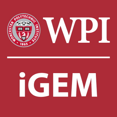 The official Twitter page of the 2017 WPI iGEM team. https://t.co/gQLZBHrKsv