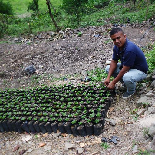 Ingeniero en Agroalimentacion, Convencido del Proyecto de la Nueva Venezuela Potencia Productiva.