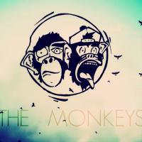 The Monkeys (@the_monkeys_) 's Twitter Profile Photo The Monkeys (@the_monkeys_) 's Twitter Profile Photo