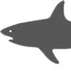 tiburon_319 Profile Picture