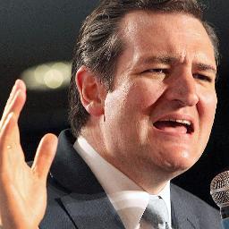 teddycruza's profile picture. 