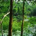 Alex Benedicto Pop X - @AlexBenedictoP2 - Twitter