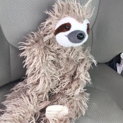 cats_quibblers's profile picture. Barely destructive fiery super-advisor. she/her. 33. ACAB. BLM.🏳️🌈💖💜💙