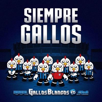 Gallos Blancos Querétaro 
( Fb 95 000 Miembros ) Instagram: GallosBlancosFb - GallosBlancosQro - SoyDeGallos - DaleGallos

#GallosBlancos 💙⚽🖤