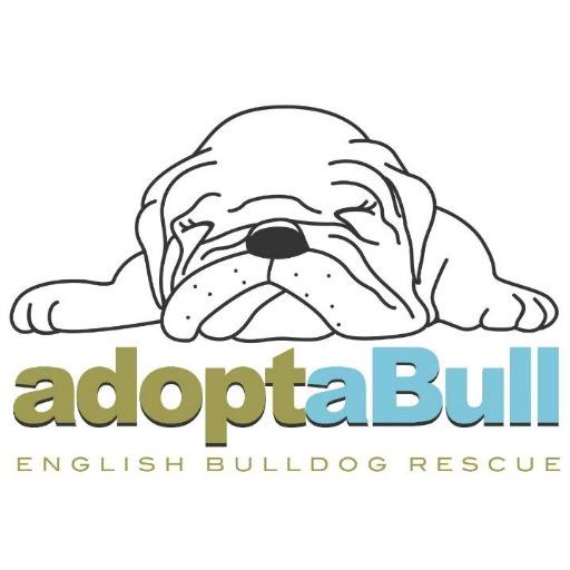 adoptaBull1's profile picture. We are a BCARN affiliated bulldog rescue in IL, SE WI and NW IN with over 50 years combined experience in rescue! We are also a 501c3 organization!