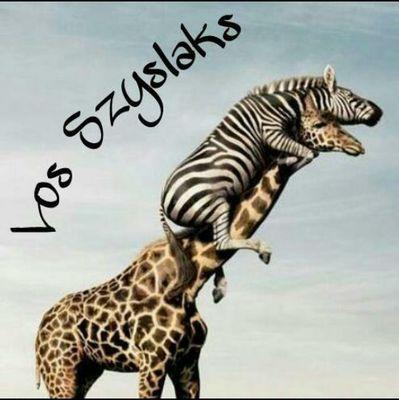 Vierness13's profile picture. Grupo de rock madrileño, formado por: Javier Villaverde Moreno, Álvaro Gómez Salinas, Daniel Martín Barreda, Alejandro Campillo Santiago y Eduardo Delany