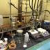 Rafferty Lab @KSU (@raffertylab) Twitter profile photo Rafferty Lab @KSU (@raffertylab) Twitter profile photo