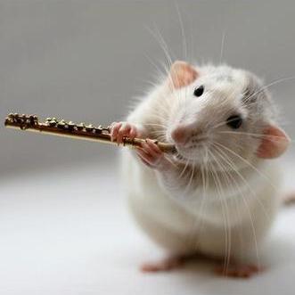 LentjeWinter's profile picture. 