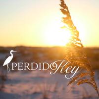 Perdido Key (@visitperdidokey) 's Twitter Profile