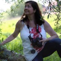 Sue McBean - @organicbotanic.bsky.social (@organicbotanic) 's Twitter Profile