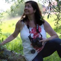 Sue McBean(@organicbotanic) 's Twitter Profile Photo