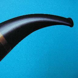 RukovEd's profile picture. 