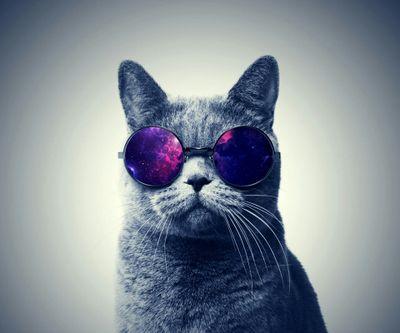 CnmdkMendez's profile picture. 