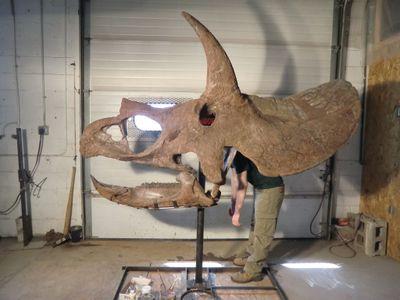 Mac_canadensis's profile picture. 