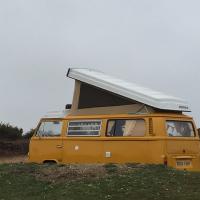 AdventureIsOutThere! (@adventure_iot) 's Twitter Profile