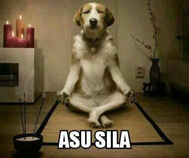 gusmin50's profile picture. oyi sam