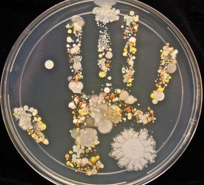 Twitter account of the CDDFT Infection Control team comiited to minimise preventable infections and improve patient safety