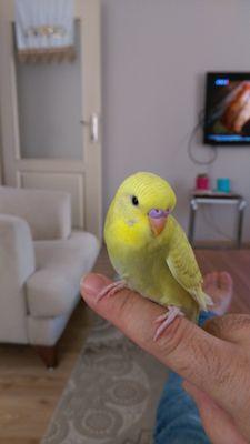 hozdag80's profile picture. 