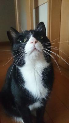 390mevius's profile picture. 