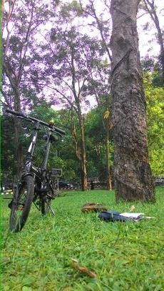 primadianii's profile picture. what is life?