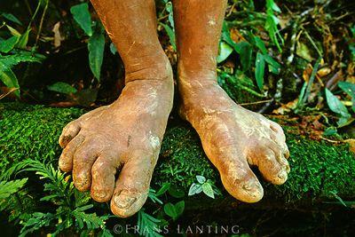 Yucadescalzo's profile picture. viviente descalzo