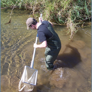 Senior Lecturer in Environmental Science. Interested in ecology, biodiversity and conservation, water quality and catchment management, and all things related.