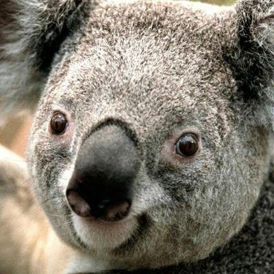 nanharam86's profile picture. 887318