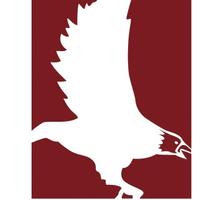 Schaffer Associates (@schaffersearch) 's Twitter Profile