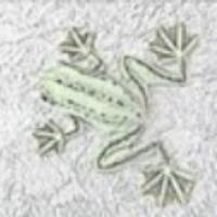 The Dude (@thefrogholler) 's Twitter Profile Photo The Dude (@thefrogholler) 's Twitter Profile Photo