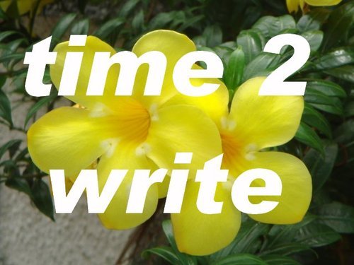 time2write's profile picture. 