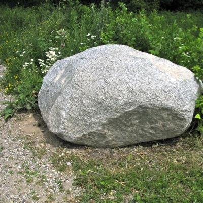 dumbsamoans's profile picture. DM ANY SHIT SAMOANS SAY & WE'LL POST IT FOR YOU WE'LL KEEP IT SAFE